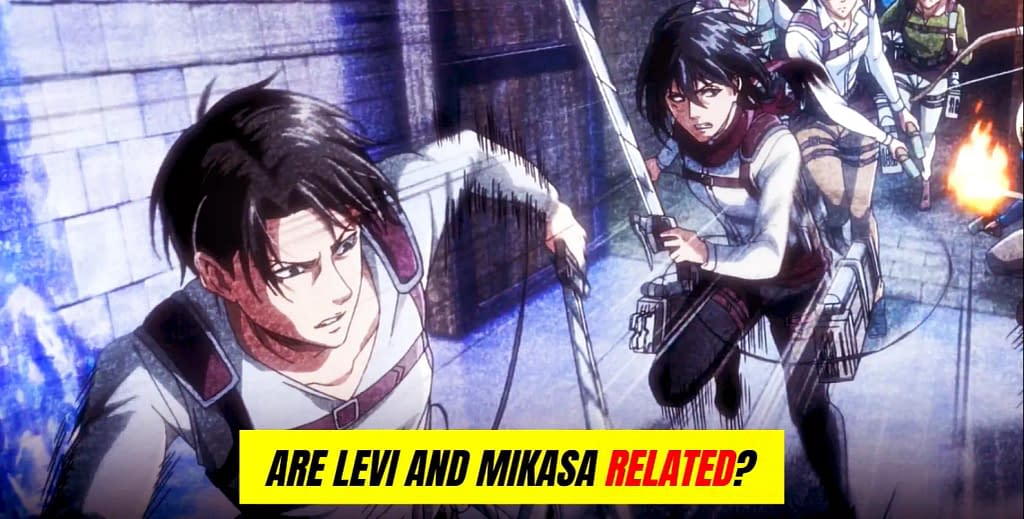 Are Levi and Mikasa Related